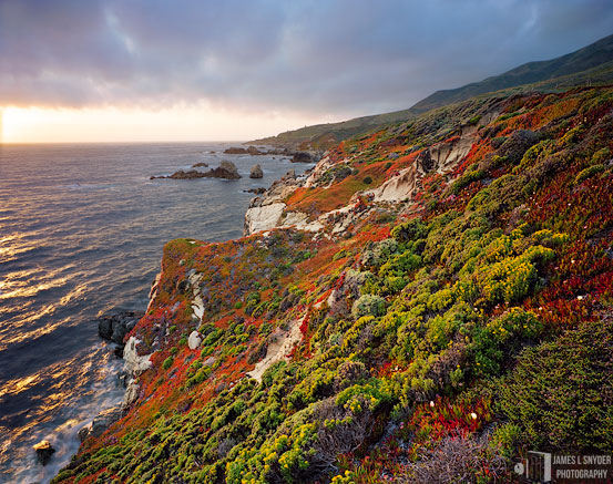 Ice Plant Cliffs at Sunset